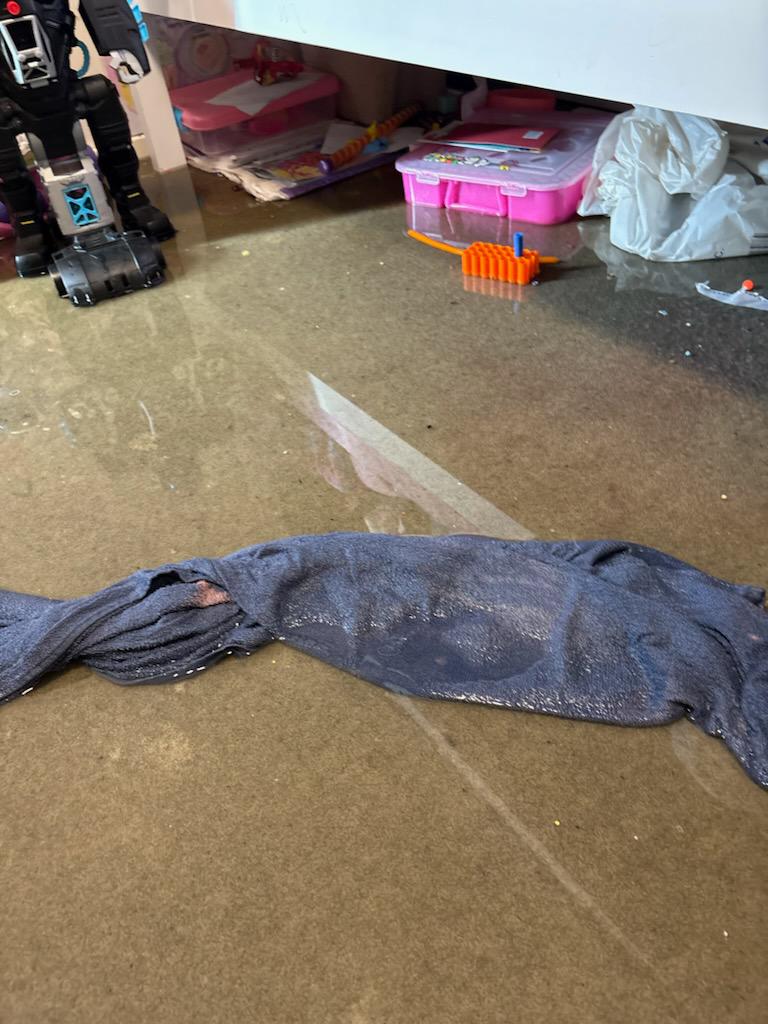 Image 16