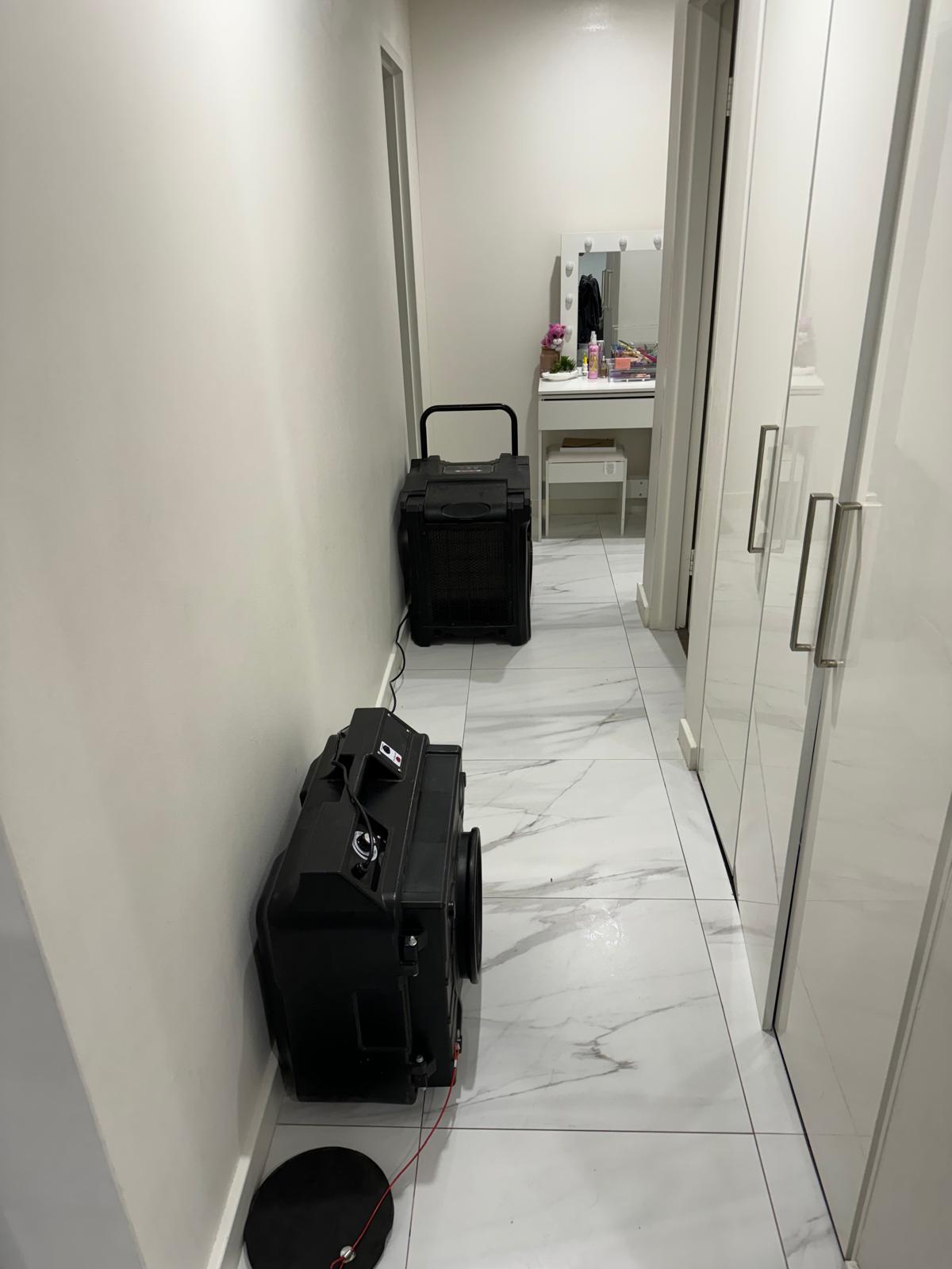 Mould Remediation Process Gold Coast