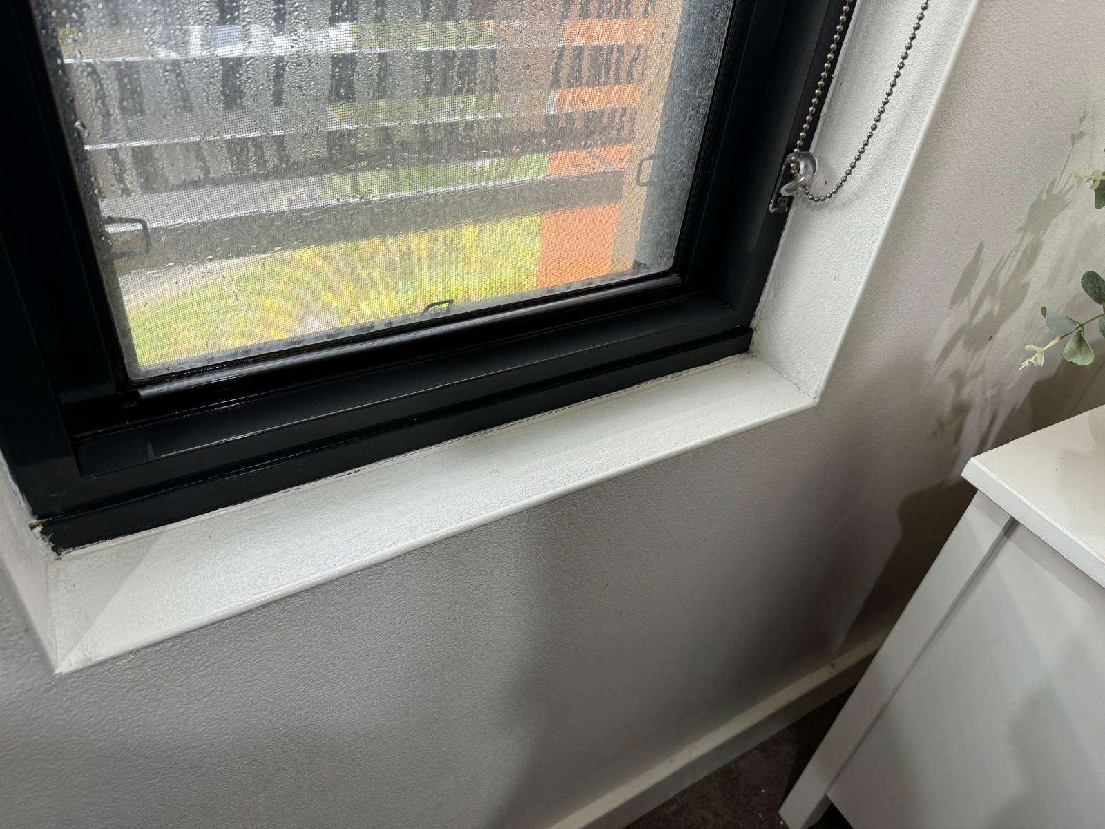 Mould Remediation Project 4 Gold Coast