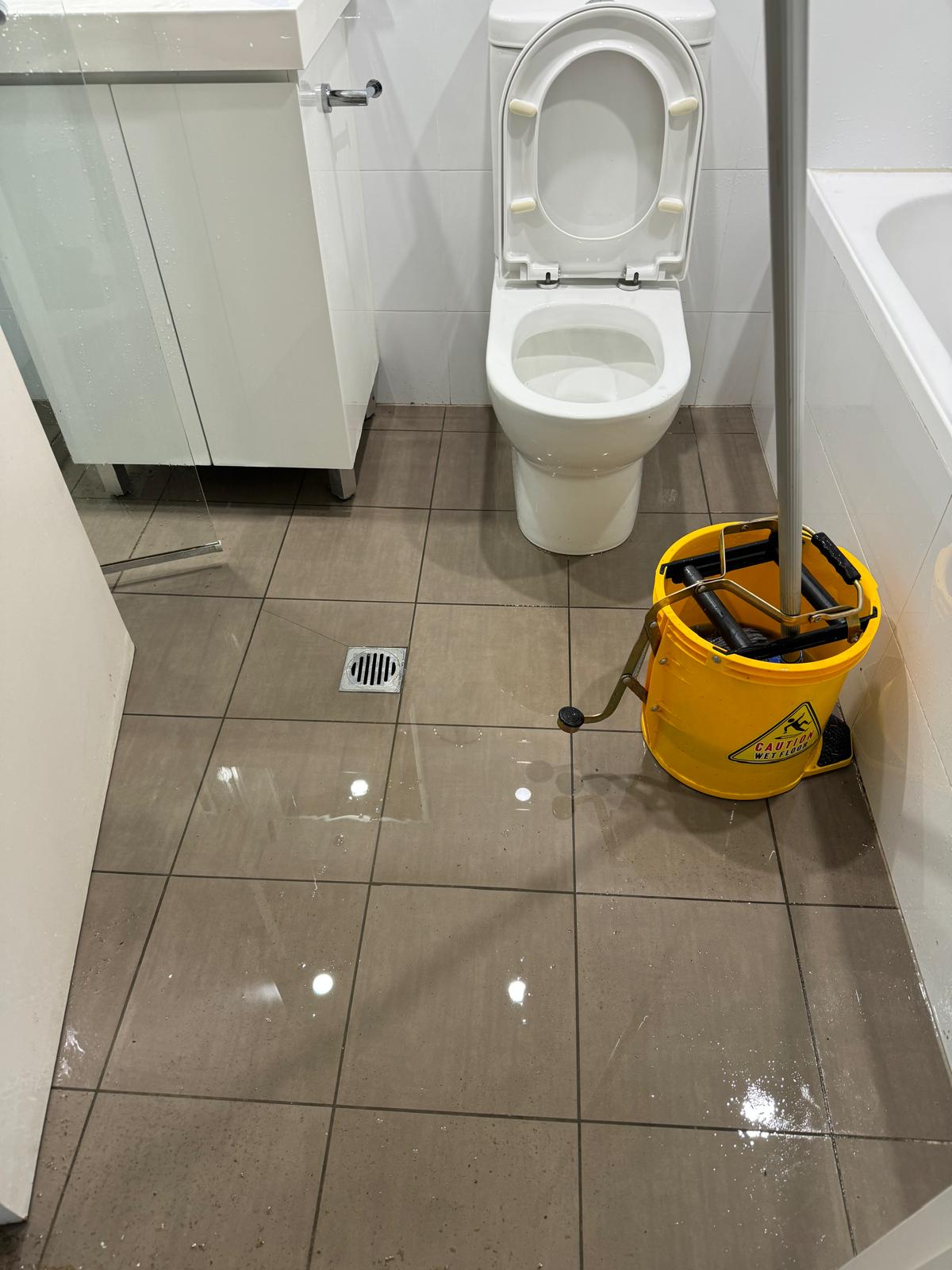 Sewage Clean Up Project 3 Gold Coast