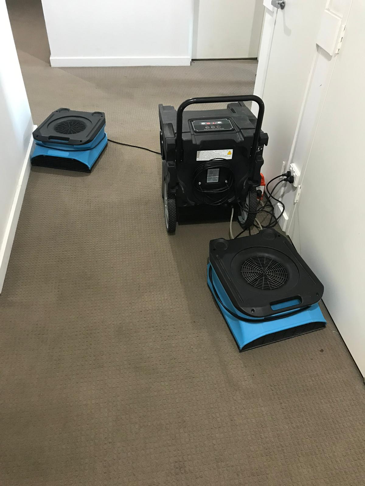 Wet Timber Floor Drying Project 4 Gold Coast