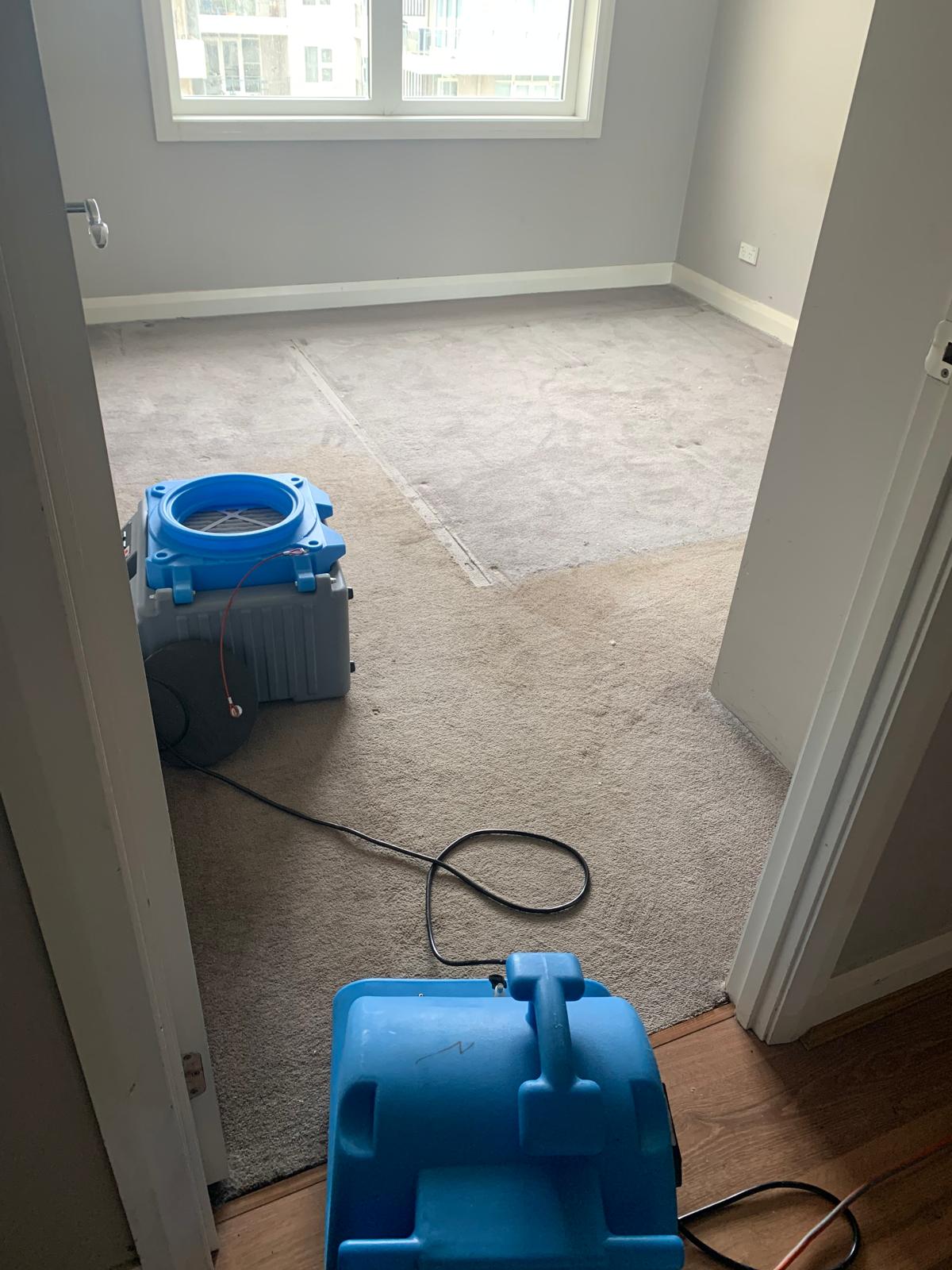 Water Damage Restoration Project 3 Gold Coast